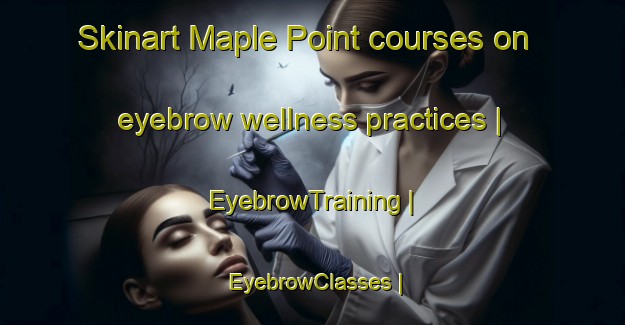 Skinart Maple Point courses on eyebrow wellness practices | EyebrowTraining | EyebrowClasses | SkinartTraining-United States